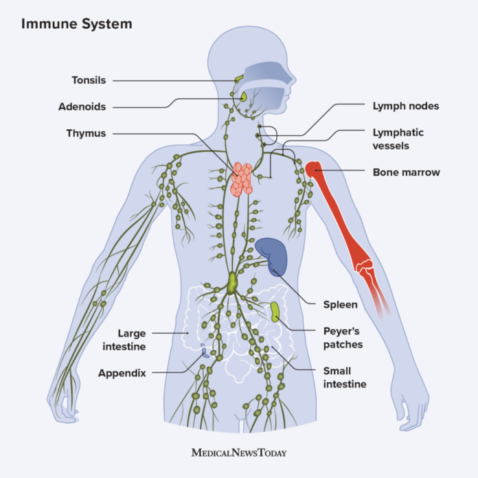 The Science of the Immune System